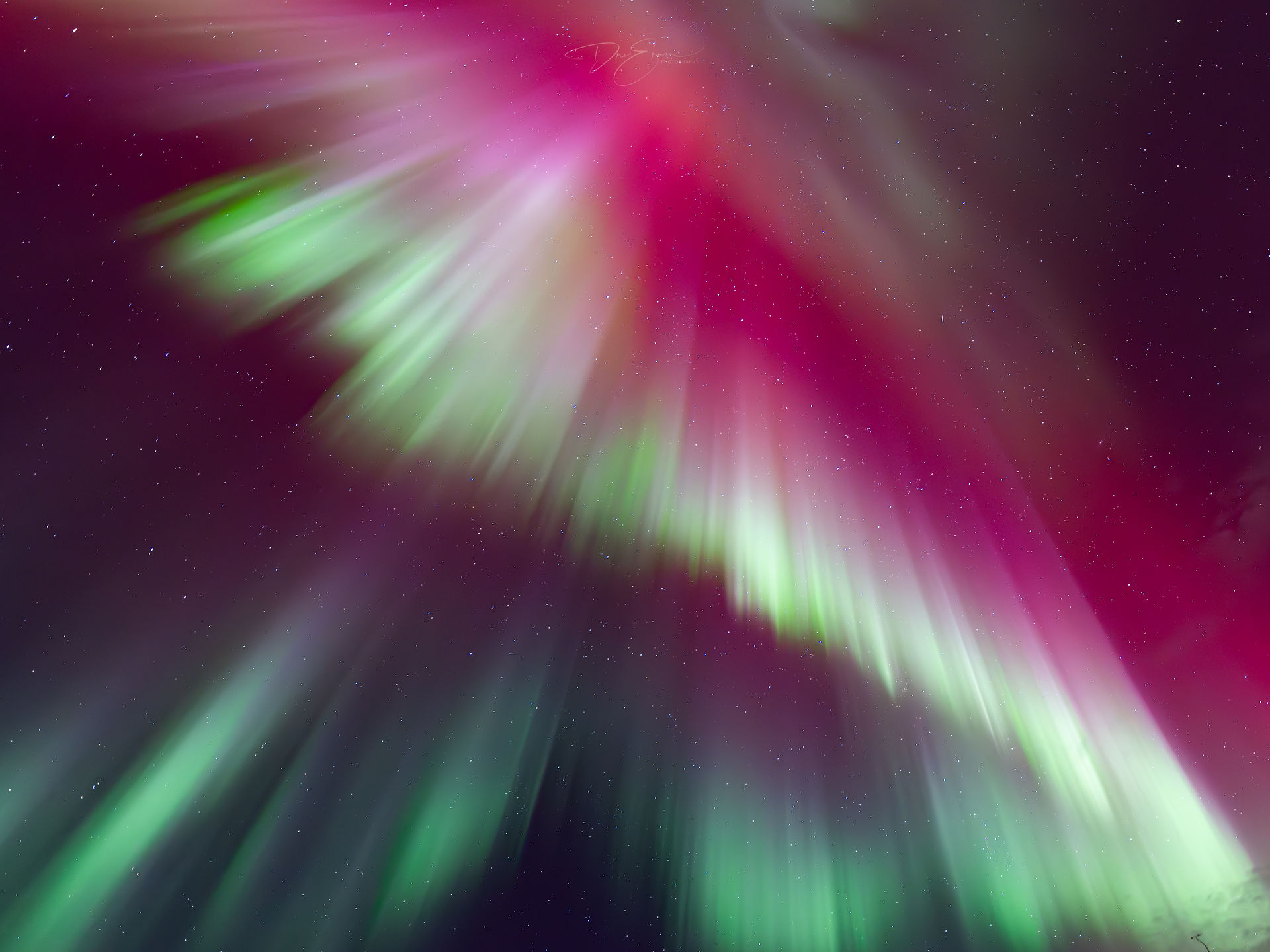 A spectacular and rare bright pink and magenta aurora borealis corona bursting across the night sky by Dre Erwin.