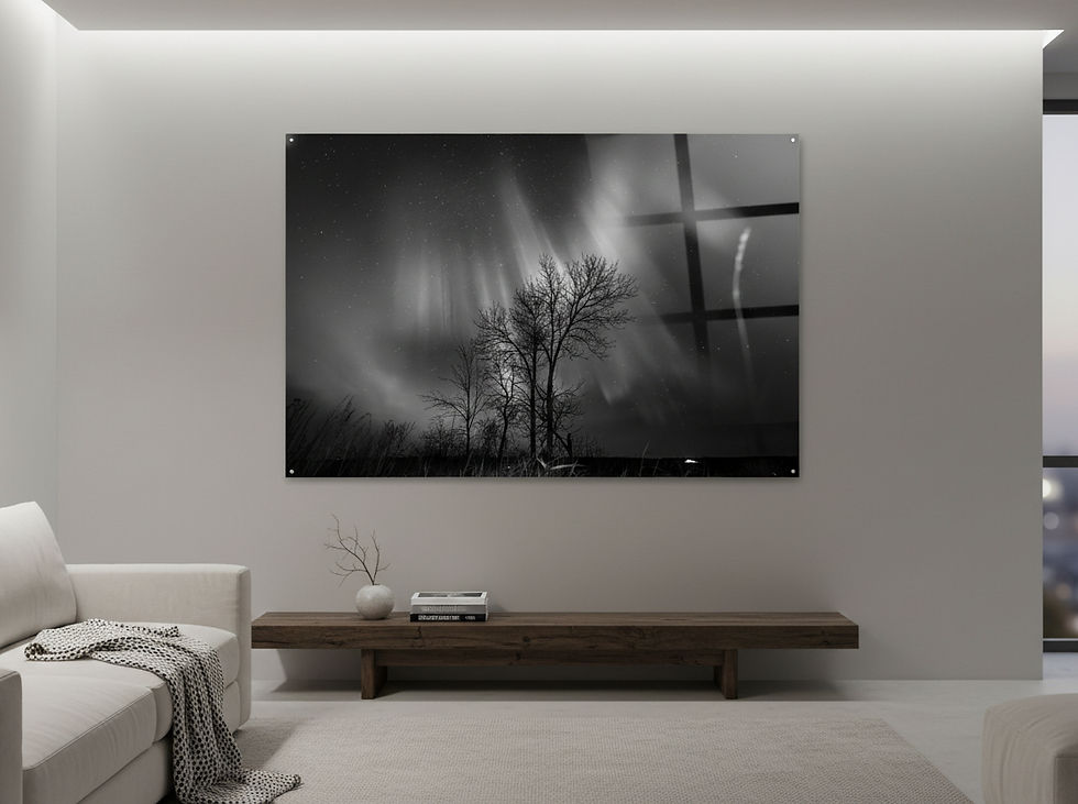 A dramatic monochrome fine art photograph of the Aurora Borealis over a Saskatchewan treeline.