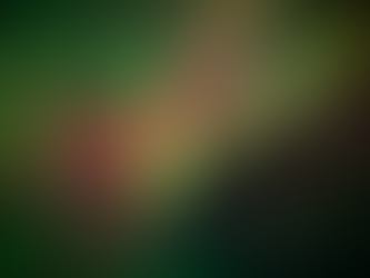 Dre Erwin Photography: A stunning upward-facing shot of the Northern Lights (Aurora Borealis) during a G4 solar storm in Saskatchewan. Vibrant green and rare pink pillars explode from a central corona, framed by the dark silhouettes of bare winter trees against a starry night sky