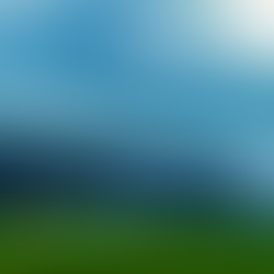 Finding Clarity in the Chaos: Why I Photograph