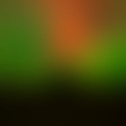 a lady looking up at the northenr lights in Saskatchewan, near Regina