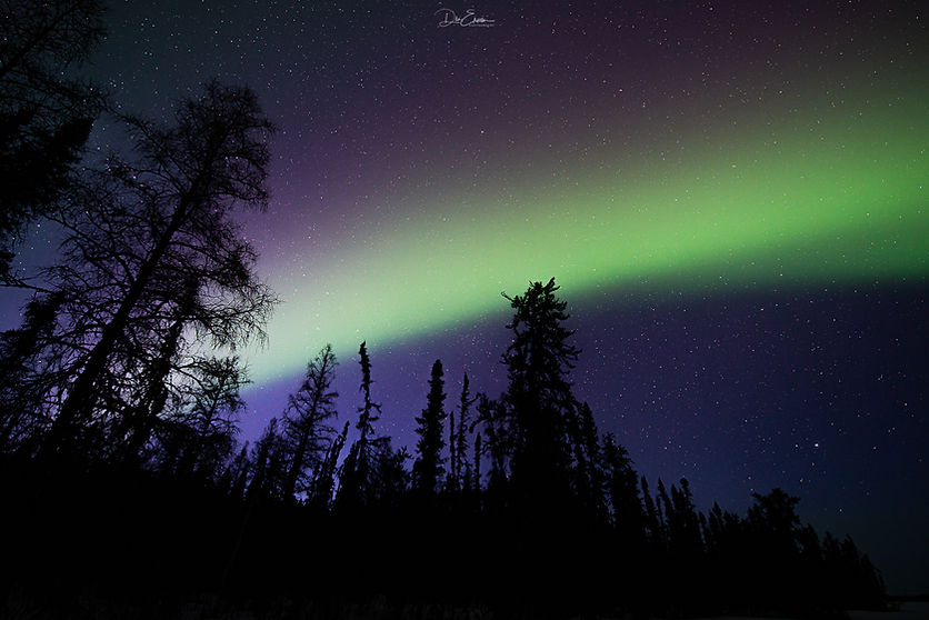 Aurora sask