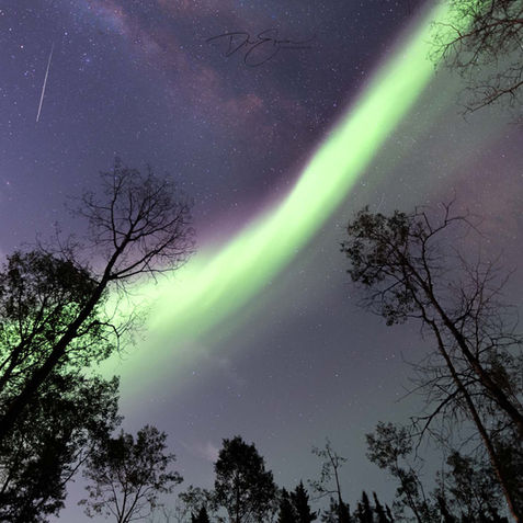 Wide-angle view of the northern lights stretching across the night sky in Sandy Bay, captured by Dre Erwin.