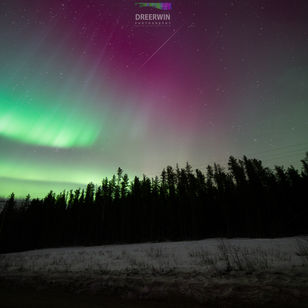 Merry Christmas and Happy Holidays from Dre Erwin Photography