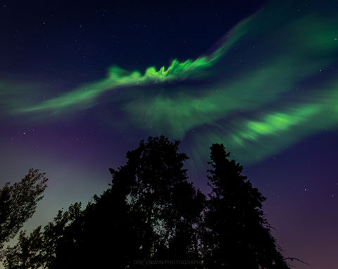The night sky over Sandy Bay filled with active aurora borealis dancing above the tree line, captured by Dre Erwin Photography.
Credit: Dre Irwin Photography