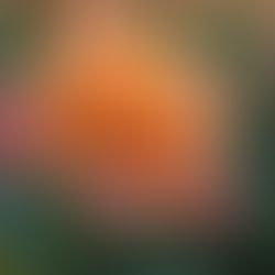 Discover How Emotional Photography Techniques Aid Emotional Healing