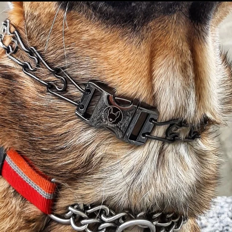 Thumbnail: 2.25mm Black Stainless Steel Collar With Buckle