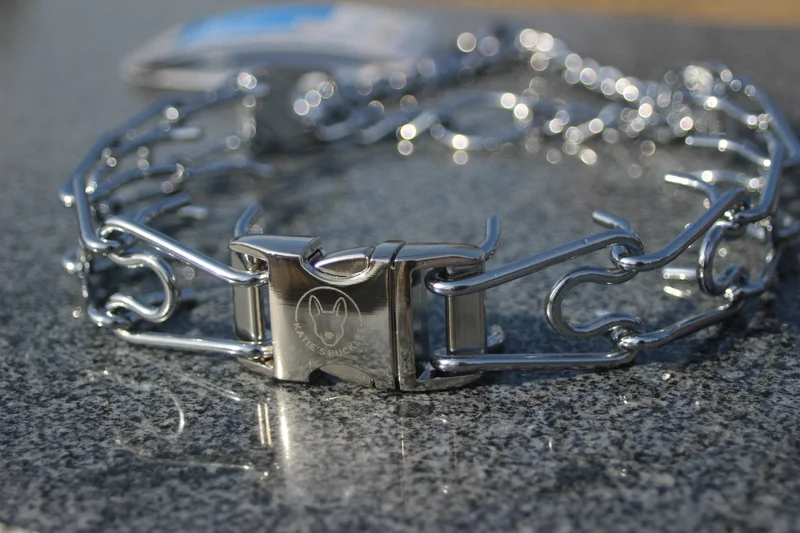 3.2mm Chrome Collar with Buckle