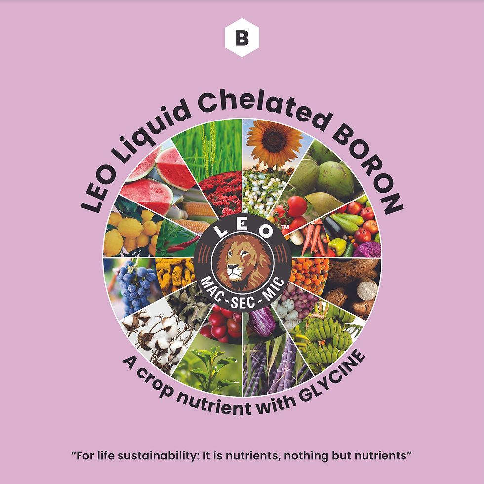 "LEO" Liquid Chelated BORON with GLYCINE