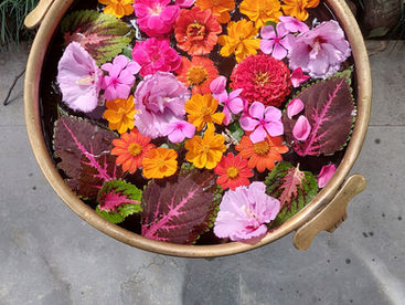 לעשות תקווה בתוכי