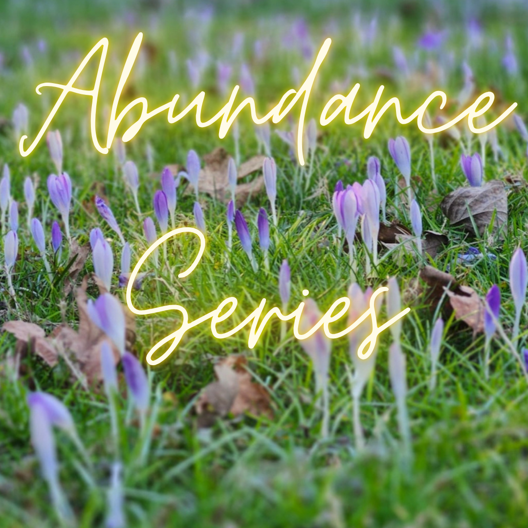 Abundance: A 4-Part Healing Series (Crystalline Soul Healing & Light Language)