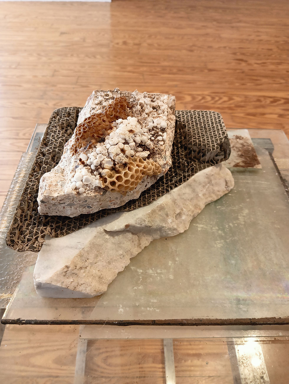 Untitled, 2024, concrete, styrofoam, honeycomb, metal base, 18 x 36 x 6 cm