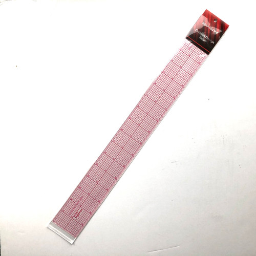 #810 Plastic Rulers 18