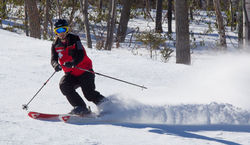 Ski training