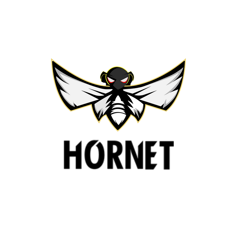Hornet black.png