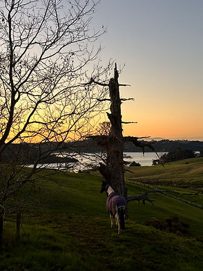 photo 05-07-2024, 5 34 59 pm.jpg