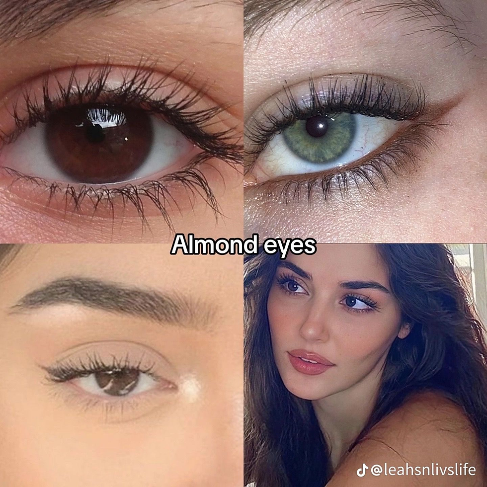 What are the 4types of eyes 