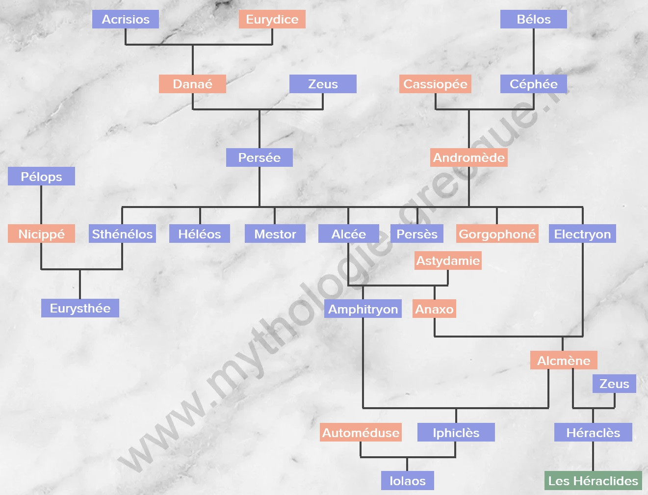Persée et Héraclès Arbre généalogique Mythologie grecque