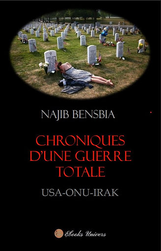 Chroniques d'un guerre totale Couv promo.jpg