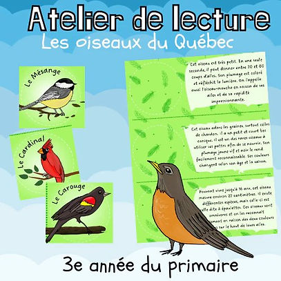 Atelier de lecture - Les oiseaux du Québec (3e)