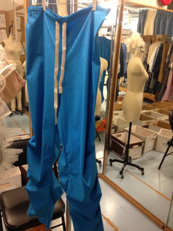 The Arabian Nights Pants