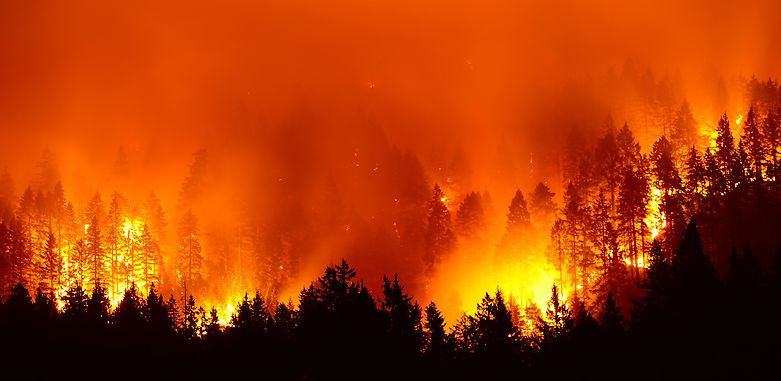 1 Wildfire.jpeg