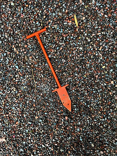 planting bar 1_edited.jpg