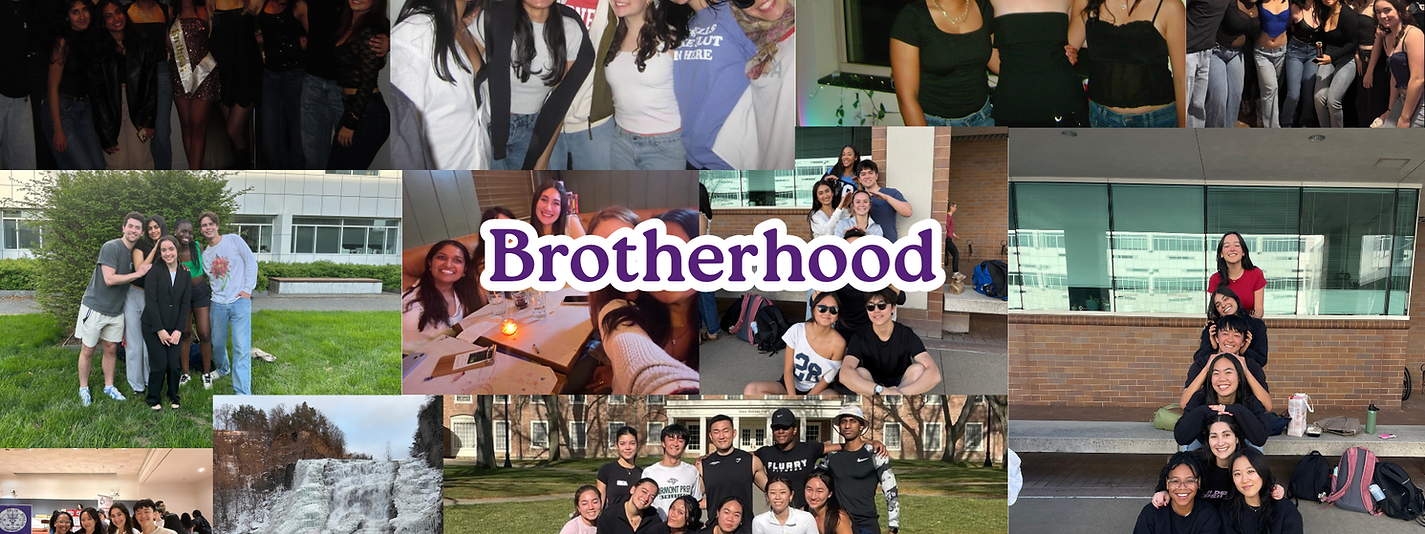 phide banner (4).png