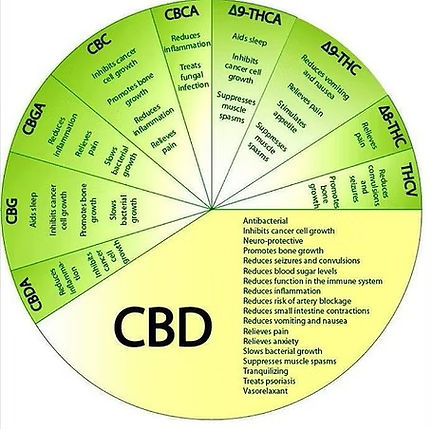 cannabinoid-wheel.jpeg