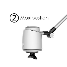 2 -- Moxibustion.png