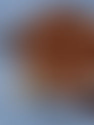 Dolce Italia – Warum italienische Desserts leise verführen