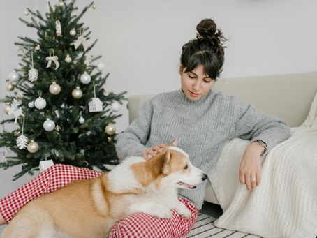 Woman sitting on floor, patting dog, Christmas tree in background, practicing quiet celebration.