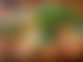 Crafting the Perfect Vegan Cheese for Pizza, Melts, and Charcuterie Boards