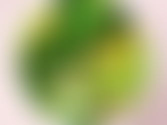 Vegan Travel Guide: Eating Plant-Based Around the World