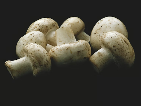 Beyond Tofu: The Rise of Fava Bean and Mushroom Proteins