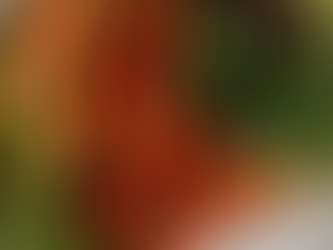 Veganism and Animal Rights: Why Food Choices Matter