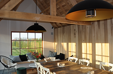 Dome Pendant outdoor heater.png