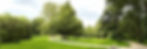Naturcoaching Berlin im Schlosspark
