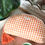 Thumbnail: Butterscotch Gingham Shell Pouch