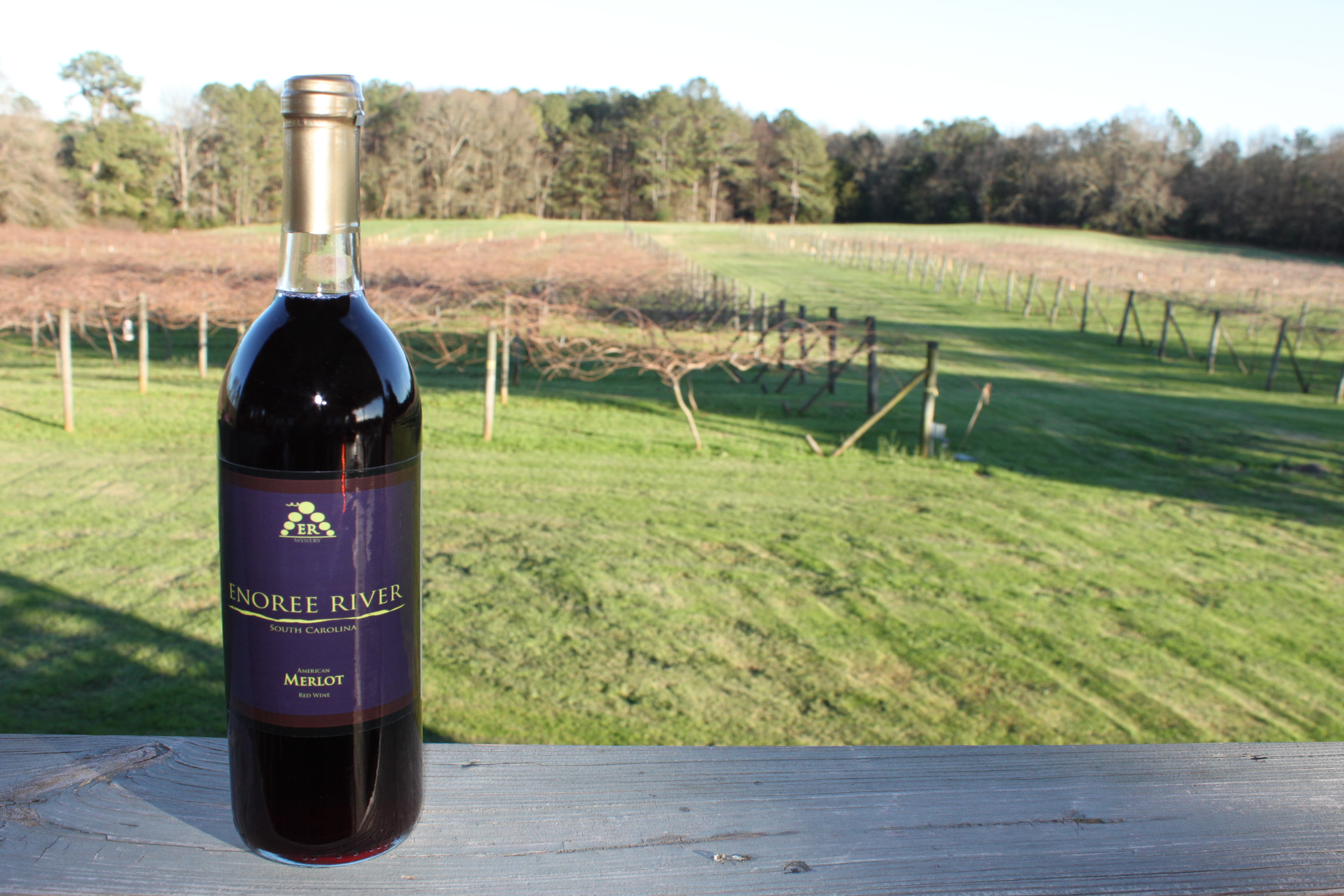 Merlot Wine