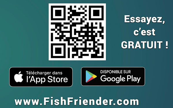 QR fishfriender.jpg