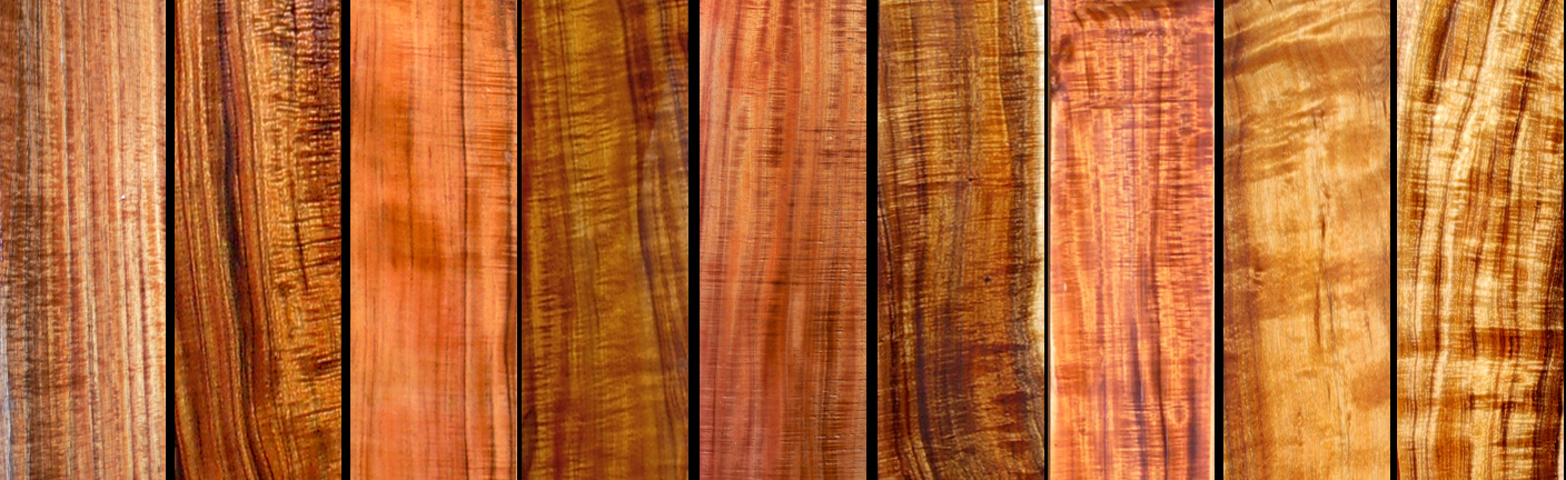 Everything You Want To Know About Koa Wood