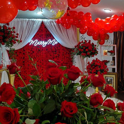 Red Rose Flower Wall