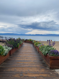 Lake Tahoe