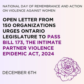 Open Letter Calling on Ontario Legislature to Prioritize and Pass Bill 173: Intimate Partner Violence Epidemic Act, 2024