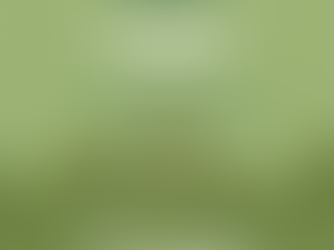 Imagine Barrie Rally, October 17