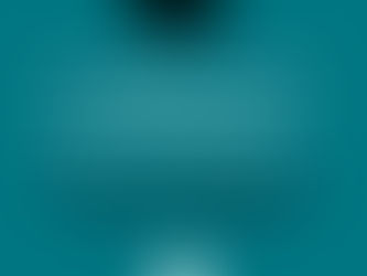 Ranked Ballots - Council votes Monday!