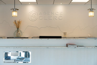Agence immobiliere - adaptable pour Saint Denis