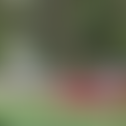 INCÊNDIO NO MINISTÉRIO DA IGUALDADE RACIAL 