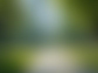 Maximizing Community Engagement in Powai ALM